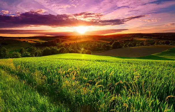 Fondo de testimonios